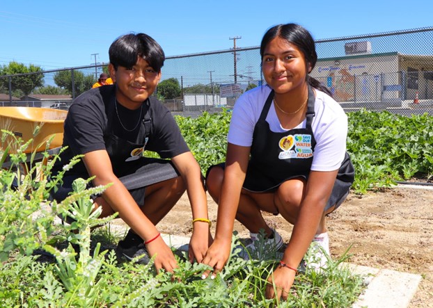 Growing Together: Cultivating Inclusivity in Our Community Garden
