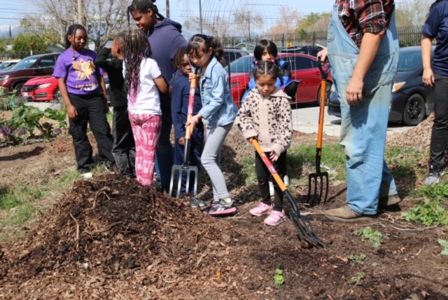 The Rich Soil of Learning: How Composting and Gardening Nourish Youth Development